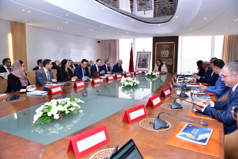 بلاغ صحفي حفيظة الفقير الوزيرة فاطمة الزهراء المنصوري تترأس اجتماع مجلس الرقابة لمجموعة العمران